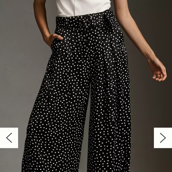 Maeve Pants - The Avery Pleated wide-leg Trousers by Maeve Printed size 4